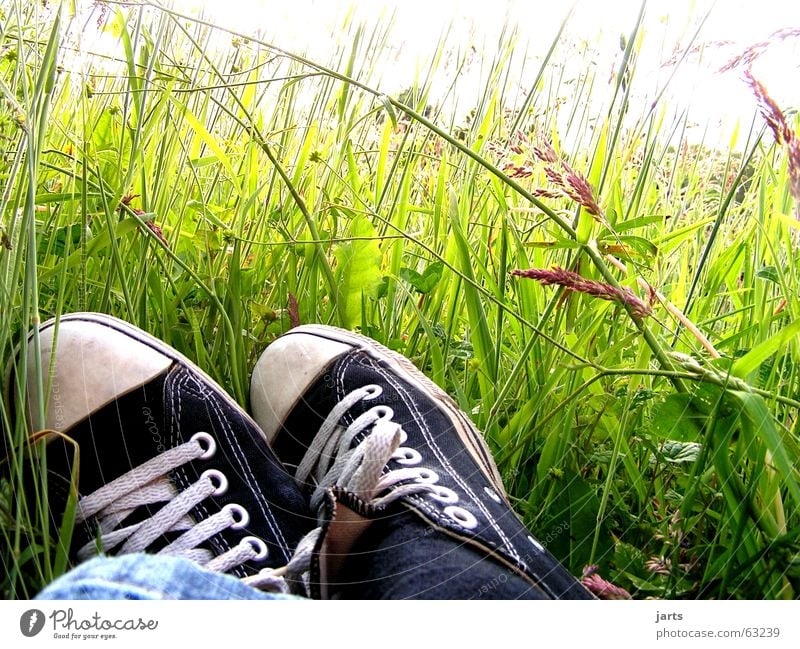 Träumer Schuhe Wiese Blume Gras träumen Sommer ausschalten schlafen Blumenwiese Chucks Frieden Langeweile Erholung liegen jarts entpannung Turnschuh