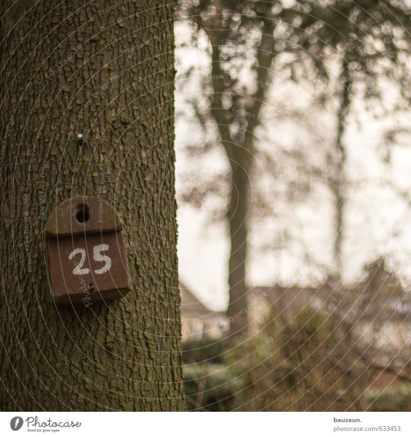 hausnummer 25. Ausflug Garten Gartenarbeit Himmel Pflanze Baum Sträucher Park Vogel Futterhäuschen Holz Ziffern & Zahlen beobachten Häusliches Leben braun Glück