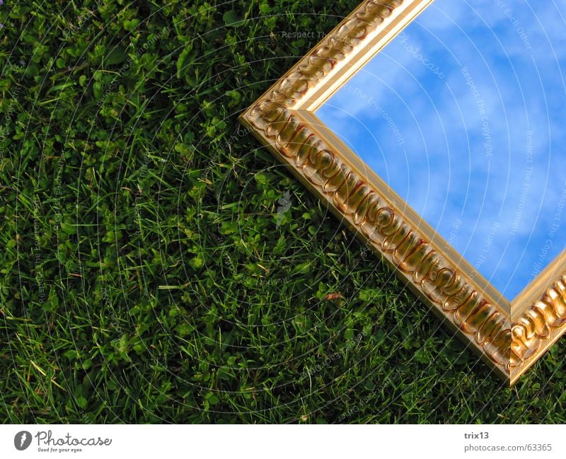 spiegelein Spiegel Wiese Wolken Gras grün Reflexion & Spiegelung Rechteck Himmel gold Rahmen liegen Anschnitt