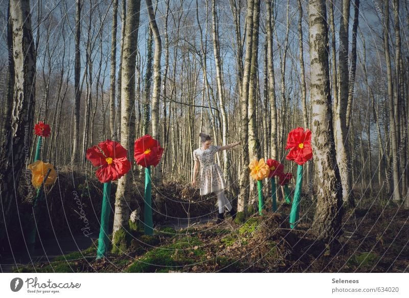 Frühling harmonisch Zufriedenheit Sommer Sonne Mensch feminin Frau Erwachsene 1 Umwelt Natur Landschaft Pflanze Schönes Wetter Baum Blume Blüte Birkenwald Moos