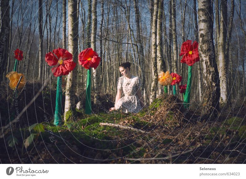 rote Klunker Ausflug Sonne Mensch feminin Frau Erwachsene 18-30 Jahre Jugendliche Umwelt Natur Landschaft Pflanze Frühling Baum Blume Moos Blüte Birke