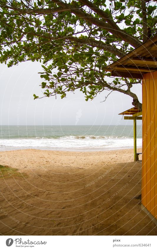 für raimund und fausto Erholung ruhig Landschaft Tier Sand Wasser Frühling schlechtes Wetter Baum Wellen Küste Strand Südamerika Menschenleer Hütte Fassade