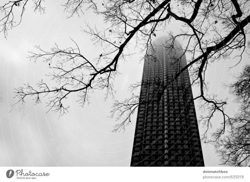 In den nebligen Himmel Nebel Baum Messe Frankfurt Deutschland Europa Stadt Stadtzentrum Hochhaus Turm Gebäude Architektur Fassade Wahrzeichen Beton Glas groß