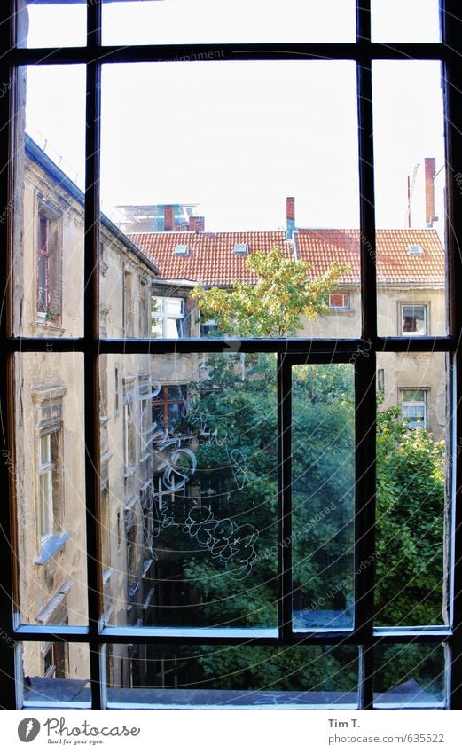 Berlin Deutschland Europäer Stadt Hauptstadt Stadtzentrum Altstadt Menschenleer Haus Fenster Heimweh Hinterhof Baumkrone Farbfoto Innenaufnahme