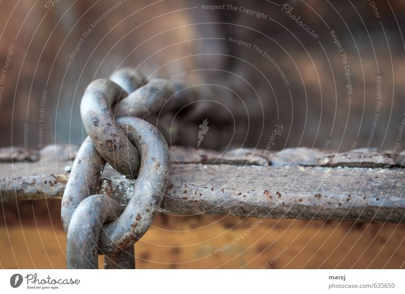 Keine Sorge, die hält garantiert! Stahlkette. Verbindende Glieder. Sicherheit trotz Rost. Baustelle Kette Kettenglied Metall festhalten hängen authentisch kalt