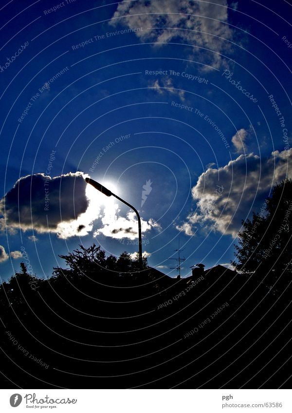 Wolke küsst Lampe Wolken Straßenbeleuchtung Stimmung Baum dunkel Nacht Himmel blau Sonne