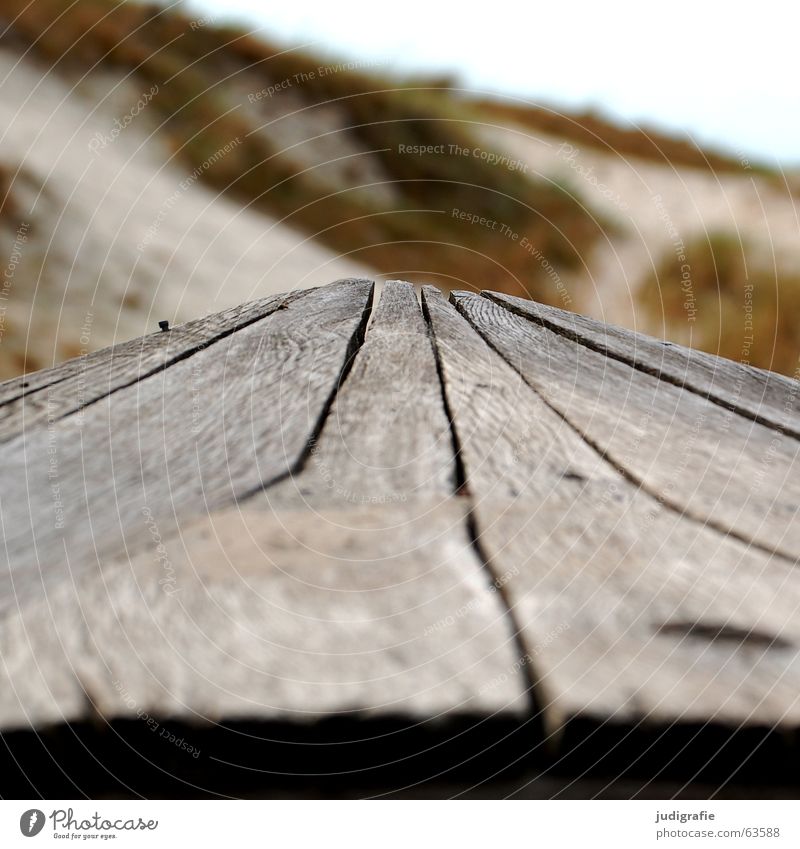 Zugespitzt Wasserfahrzeug Holz Strand braun grün Meer See Darß Fischereiwirtschaft Unschärfe salzig Farbe Küste Linie Spitze Stranddüne Sand Strukturen & Formen