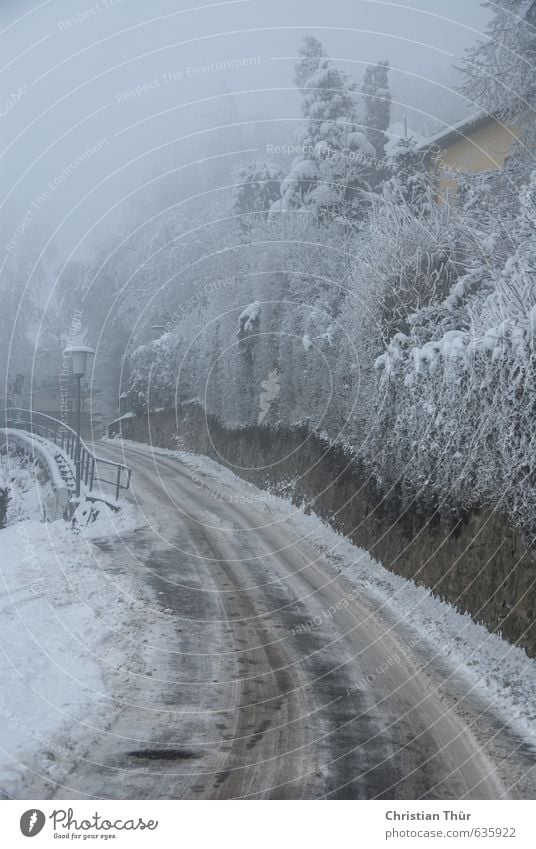 Kälteeinbruch harmonisch Zufriedenheit ruhig Winter Schnee Winterurlaub Wolken schlechtes Wetter Wind Nebel Eis Frost Schneefall Baum Sträucher Haus Gebäude