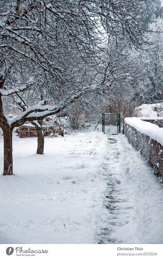 Gartenweg im Winter Ferien & Urlaub & Reisen Ausflug Schnee Winterurlaub Erholung frieren braun weiß Gefühle Freizeit & Hobby Freude kalt Sinnesorgane Stil