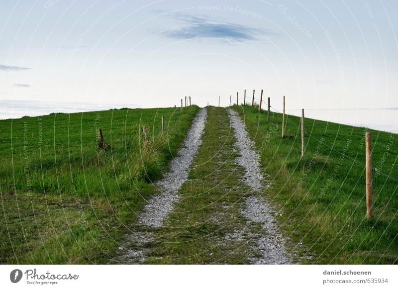 auf geht's ... Natur Himmel Feld Hügel Wege & Pfade Horizont Perspektive ruhig Zukunft Gedeckte Farben Menschenleer Textfreiraum oben Dämmerung