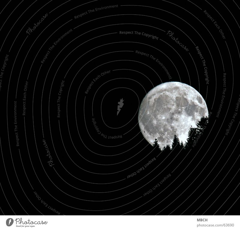 Mond 2 Baum Tanne Beleuchtung Muster Vulkankrater untergehen hell