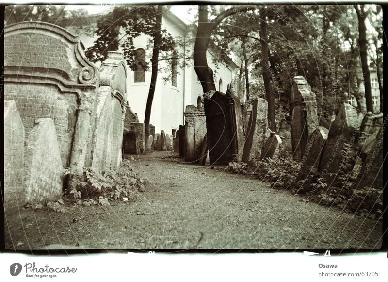 Jüdischer Friedhof, Prag ruhig Baum Wege & Pfade Trauer Tod Verzweiflung Vergänglichkeit Grab Grabstein Gebet Grabinschrift beschaulich Stele schweigen