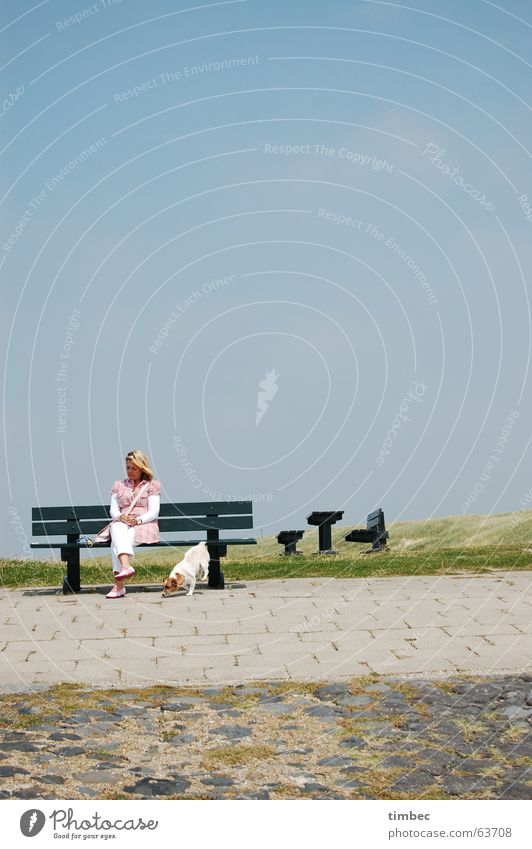 Strandgang Hund Frau grün Sitzgelegenheit blond brünett lang feminin Tier Wiese Meer Hintergrundbild Hochformat ausgehen Ausgang auslaufen genießen Gegend