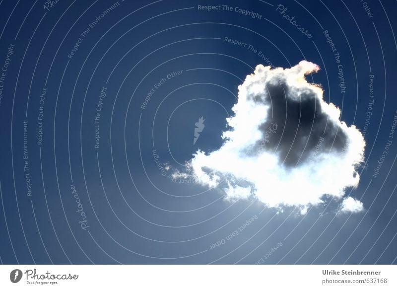 Lichtstrahlen | Bin nur kurz weg Natur Luft Himmel nur Himmel Wolken Sonne Sonnenlicht Winter Schönes Wetter glänzend hängen leuchten Ferne groß hell hoch