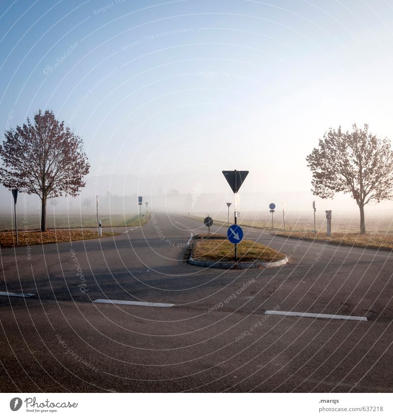 Hallo Frühling Umwelt Natur Landschaft Wolkenloser Himmel Horizont Sonnenlicht Klima Schönes Wetter Nebel Baum Verkehr Verkehrswege Straße Straßenkreuzung