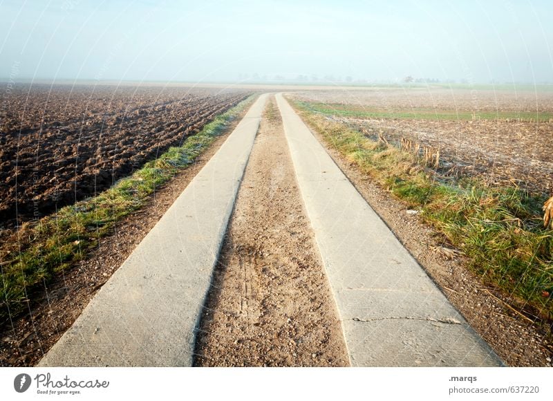 Landstraße Ausflug Umwelt Natur Landschaft Urelemente Erde Himmel Horizont Frühling Schönes Wetter Feld Straße Wege & Pfade fahren frisch Beginn Ziel ländlich