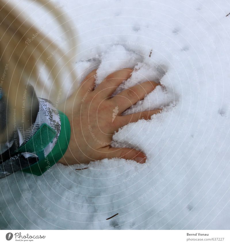 Abschied feminin Kind Mädchen Kindheit Hand 1 Mensch dunkel kalt blau braun grau grün weiß Haare & Frisuren Versuch berühren frieren blond Jacke 5 Tannennadel