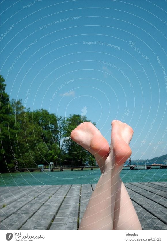 lass uns wellenreiten gehn.. See Steg Wolken Baum Wald Gewässer Holz gemütlich Physik Sommer Fuß Wasser Himmel Holzbrett Wärme Haut Beine