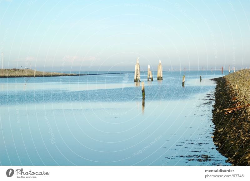 friesisch herb ... Küste ruhig Poller Strand Meer Wellen Holz brechen Ferien & Urlaub & Reisen Anlegestelle Erholung Hafen Linie Kraft Wasser blau harbour coast