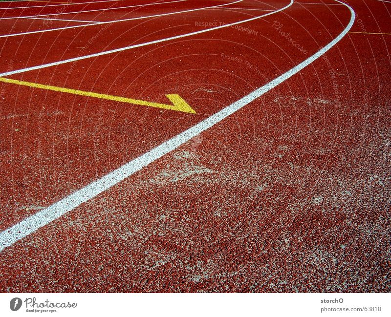 Erster Thüringen Gotha rot weiß Top 100 Meter Lauf Staffellauf Weitsprung Sportfest Sommer gelb frei laufen Eisenbahn Kurve