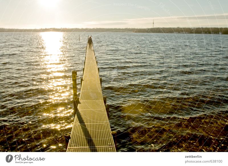 Steg am Wannsee See Wasser Gewässer Sonne Gegenlicht Küste Seeufer Flussufer Anlegestelle grell blenden hell Licht Sonnenlicht Sonnenuntergang Wellen Binnensee