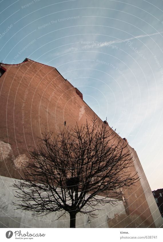 naturbelassen Himmel Wolken Schönes Wetter Baum Haus Bauwerk Gebäude Mauer Wand Fassade alt hoch kaputt Gefühle geheimnisvoll Nostalgie Ferne Stadt Verfall