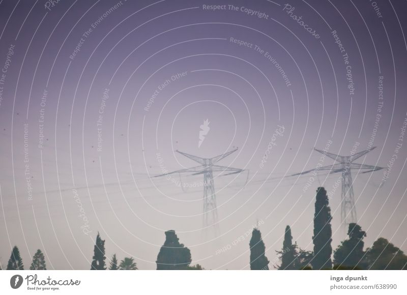 Netz im Nebel Technik & Technologie Energiewirtschaft Elektrizität Strommast Stromkraftwerke Umwelt Natur Landschaft Frühling Klima Wetter Pflanze Baum kalt