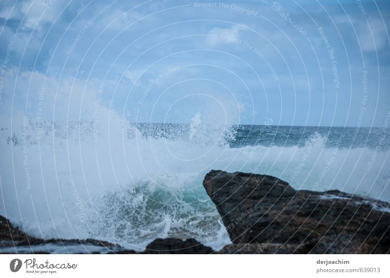 Tosendes Meer.Die Wellen springen die Felsen hoch. Abenteuer Wassersport Umwelt Natur Urelemente Himmel Sommer Sturm Stein beobachten Blick Schwimmen & Baden