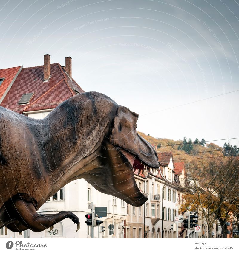 Ausnahmezustand Himmel Schönes Wetter Stadt Haus Dinosaurier 1 Tier beobachten Aggression außergewöhnlich bedrohlich exotisch Entsetzen Todesangst gefährlich