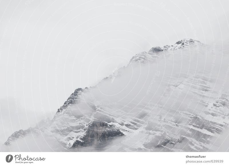 (S)no(w) go Area Ausflug Abenteuer Winter Winterurlaub Berge u. Gebirge wandern Klettern Bergsteigen Natur Landschaft Himmel schlechtes Wetter Unwetter Nebel