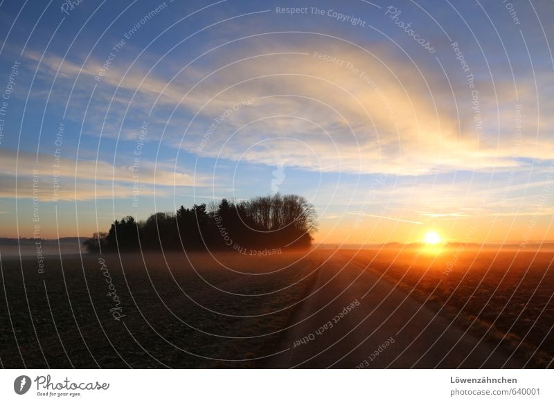 rise and shine! Landschaft Himmel Wolken Horizont Sonne Winter Schönes Wetter Nebel Baum Feld Wald Fußweg hell schön blau braun gelb orange schwarz Hoffnung