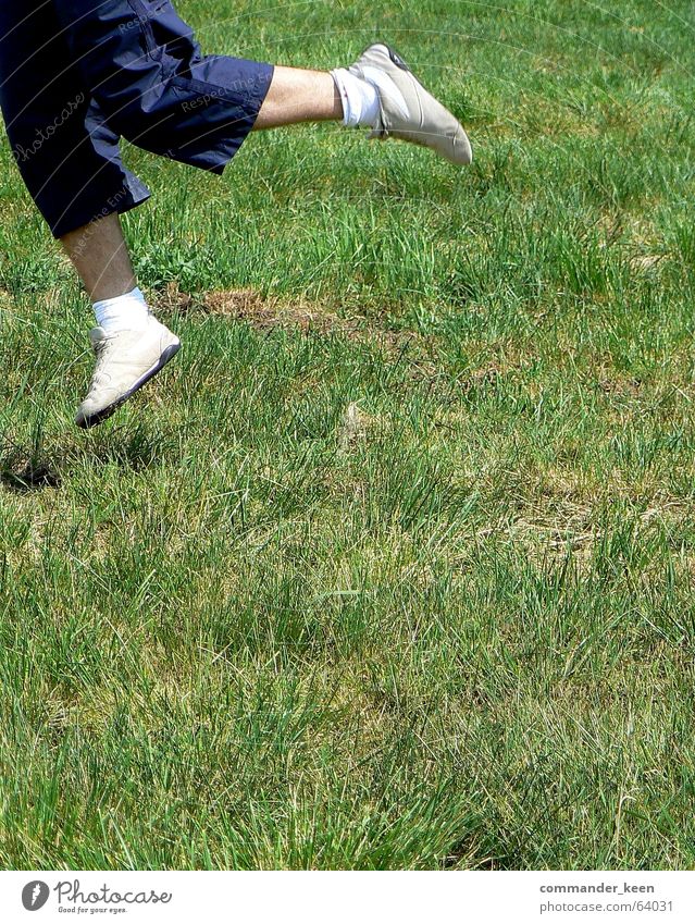 Jump!!! Schuhe weiß springen klein hüpfen Gras Wiese Flüssigkeit dumm Außenaufnahme behaartes bein Haut Freiheit