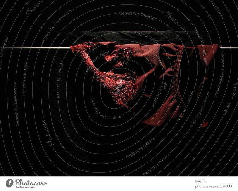 nächtliches Wäschetrocknen Scham Wäschetrockner Nacht dunkel schwarz rot geheimnisvoll Sauberkeit feminin Arbeit & Erwerbstätigkeit Bekleidung Häusliches Leben