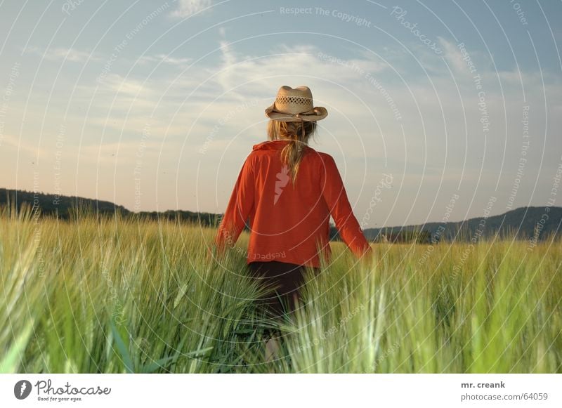 Cowgirl Getreide Frau Erwachsene Feld Hut Zukunft Landwirt Ernte Aussicht Erscheinung sentimental Farbfoto Kornfeld Rückansicht Erntehelfer Hintergrund neutral