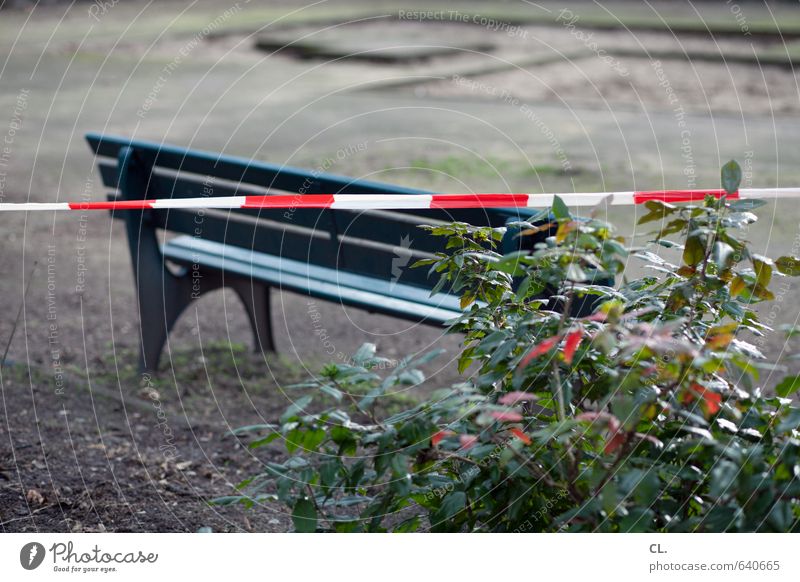 sitzen verboten Umwelt Natur Sträucher warten trist Sehnsucht Enttäuschung Einsamkeit Frustration Sicherheit stagnierend Verbote Bank Park Spielplatz gesperrt