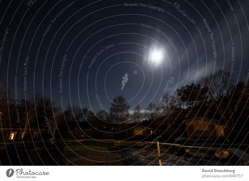 Sternenklare Nacht Ferien & Urlaub & Reisen Landschaft Himmel Wolken Nachthimmel Frühling Herbst Schönes Wetter Baum Wald blau braun gelb schwarz weiß Mond