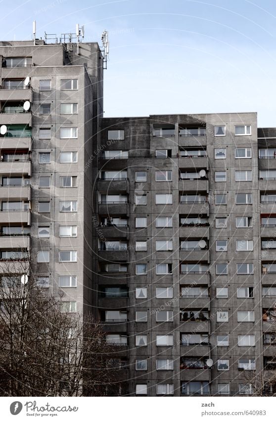 Nachbarschaft Häusliches Leben Wohnung Himmel Winter Baum Berlin Stadt Hauptstadt bevölkert überbevölkert Haus Hochhaus Gebäude Architektur Plattenbau Fassade