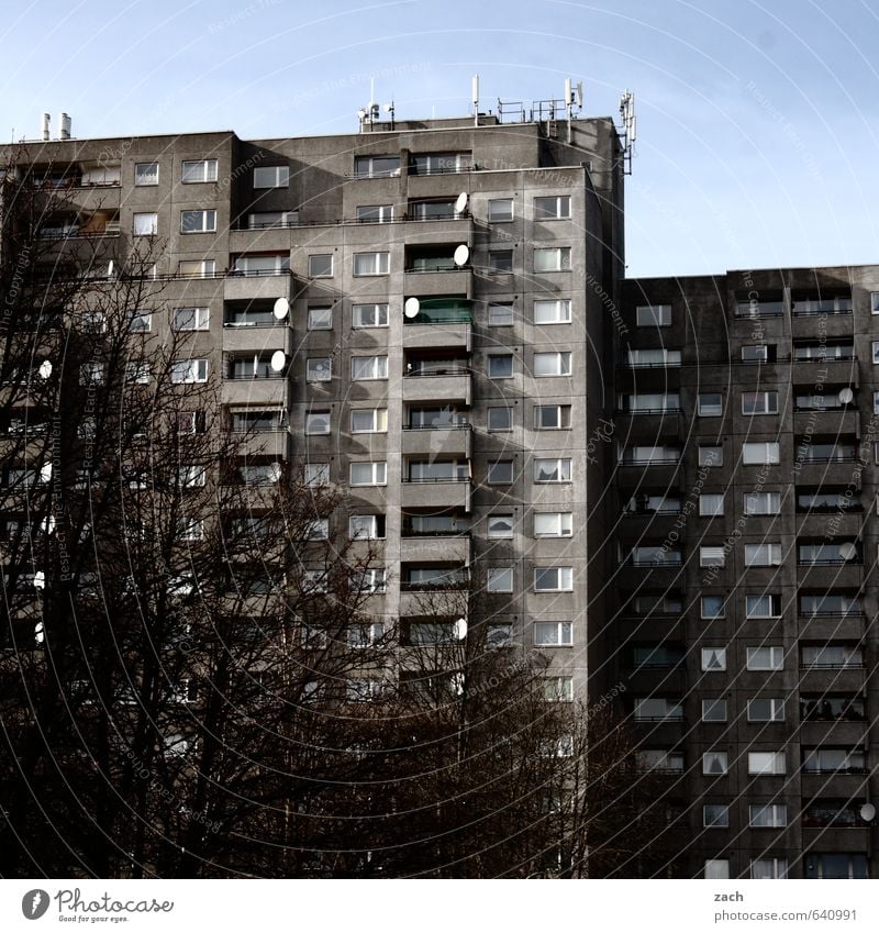 Nachbarschaft Häusliches Leben Wohnung Himmel Winter Baum Berlin Stadt Hauptstadt bevölkert überbevölkert Haus Hochhaus Gebäude Architektur Plattenbau Fassade