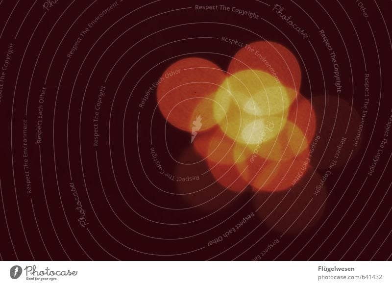 Lichterscheinung Nachtleben Entertainment leuchten Lampe Lichtspiel Lichterkette Lichtschein Lichtstrahl Lichtbrechung Lichteffekt lichtvoll Beleuchtung