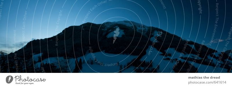 DER BERG VI Umwelt Natur Landschaft Himmel Horizont Winter Schönes Wetter Schnee Baum Wald Alpen Berge u. Gebirge Gipfel Schneebedeckte Gipfel ästhetisch