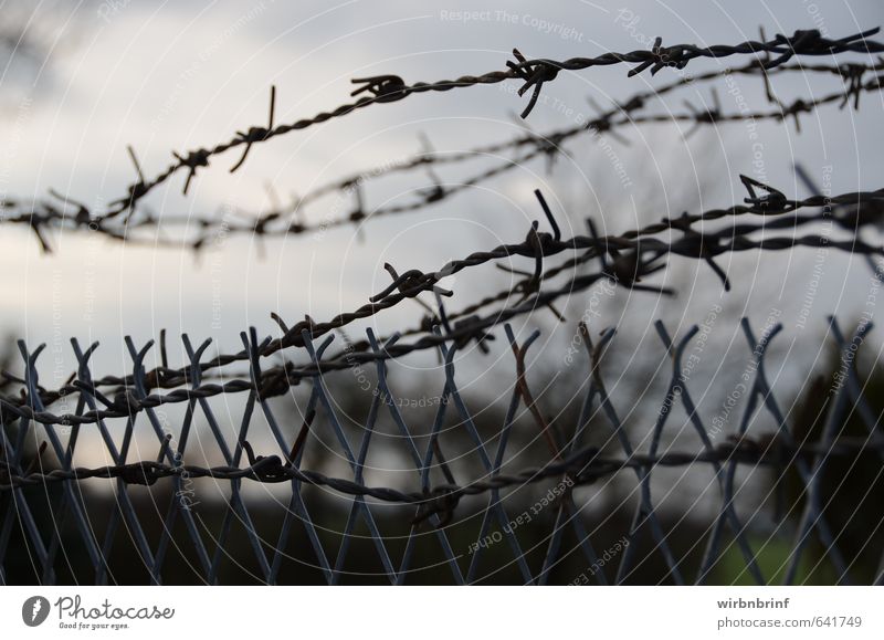 Freiheit ist ein kostbares Gut.... Umwelt Himmel schlechtes Wetter Menschenleer Mauer Wand Denkmal Metall beobachten Aggression bedrohlich dunkel Unendlichkeit