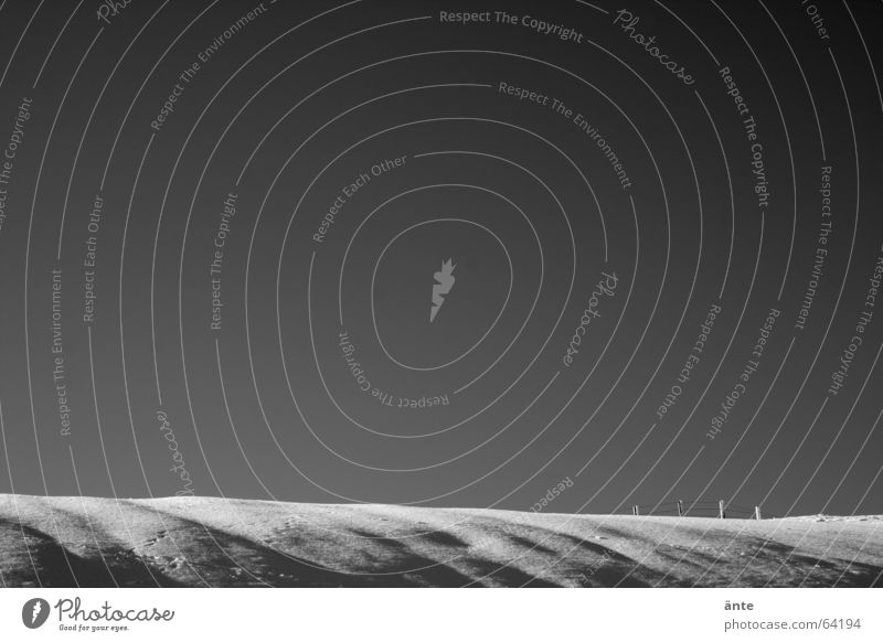 sanddüne...? Winter Hügel Einsamkeit kalt Zaun Schnee Verlauf planlos Fährte Schwarzweißfoto Landschaft Himmel Pfosten Weide sanft snow Eis leer Ferne Freiheit