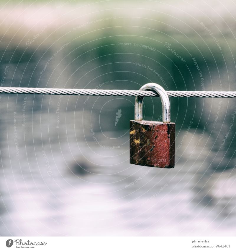 Schloss Park Teich See Stahl Zeichen Herz Liebe Gefühle Vertrauen Sicherheit Schutz Einigkeit Ewigkeit Zusammenhalt Drahtseil Farbfoto Detailaufnahme Tag