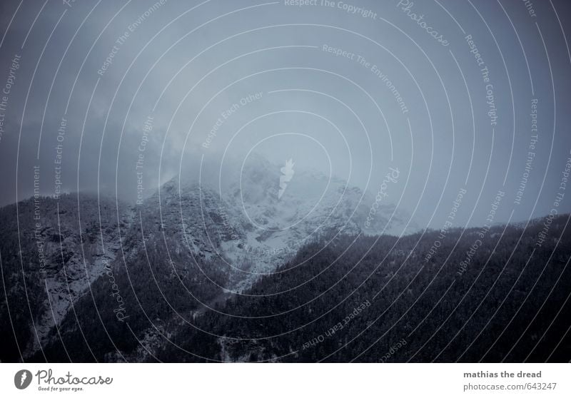 DER BERG III Umwelt Landschaft Pflanze Himmel Wolken Horizont Winter Wetter schlechtes Wetter Nebel Schnee Blume Urwald Alpen Berge u. Gebirge Aggression
