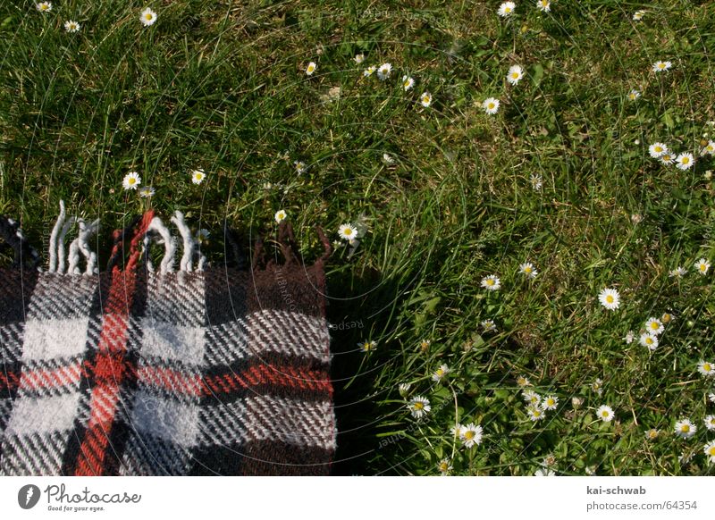 Setz dich, nimm dir 'nen Keks! Wiese Gras gemütlich Picknick Gänseblümchen Freizeit & Hobby lecker Erholung Baden-Württemberg grün Muster Streifen Decke Franse