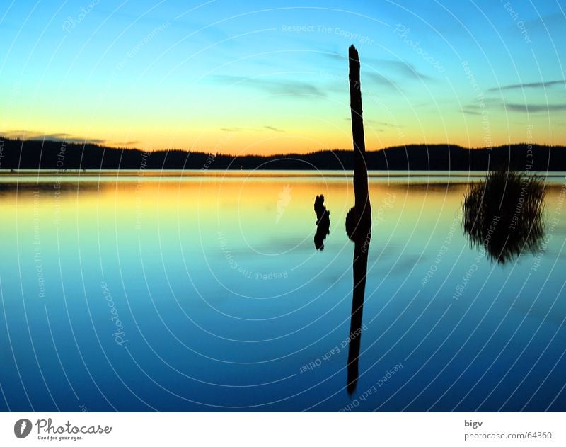 Abendstimmung schön ruhig Sonne Landschaft Wasser Himmel See träumen blau orange Ende Frieden Stock Sommersonnenwende Sonnenuntergang Hintergrundbild