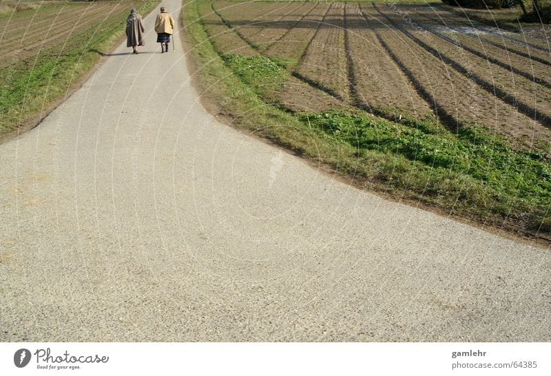 Zwei Omas auf dem Weg Ruhestand Mensch Frau Erwachsene Weiblicher Senior Leben 2 60 und älter Feld alt gehen genießen wandern grün Zufriedenheit Zukunft Fußweg