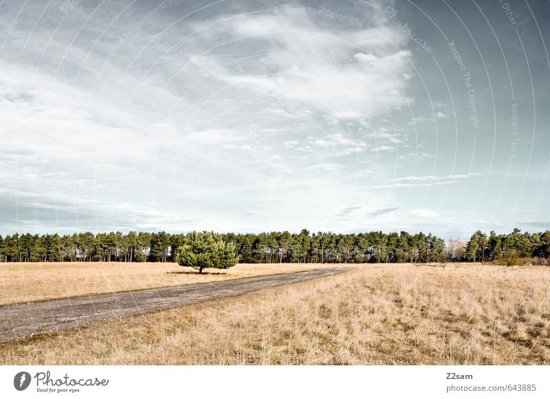 Straße im Nirgendwo Umwelt Natur Landschaft Himmel Wolken Herbst Schönes Wetter Sträucher Wiese Feld Wald blau braun türkis ruhig Einsamkeit Erholung Idylle