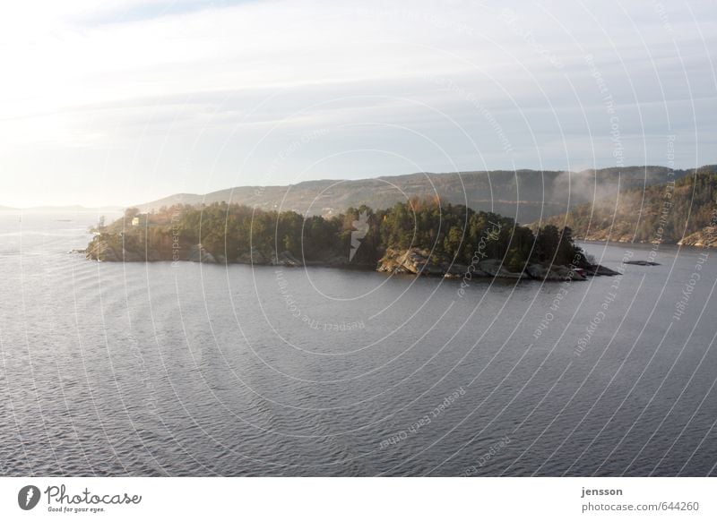 Land in Sicht Tourismus Kreuzfahrt Umwelt Natur Landschaft Wasser Himmel Schönes Wetter Nebel Wald Hügel Felsen Küste Fjord Ostsee Erholung hell schön grün