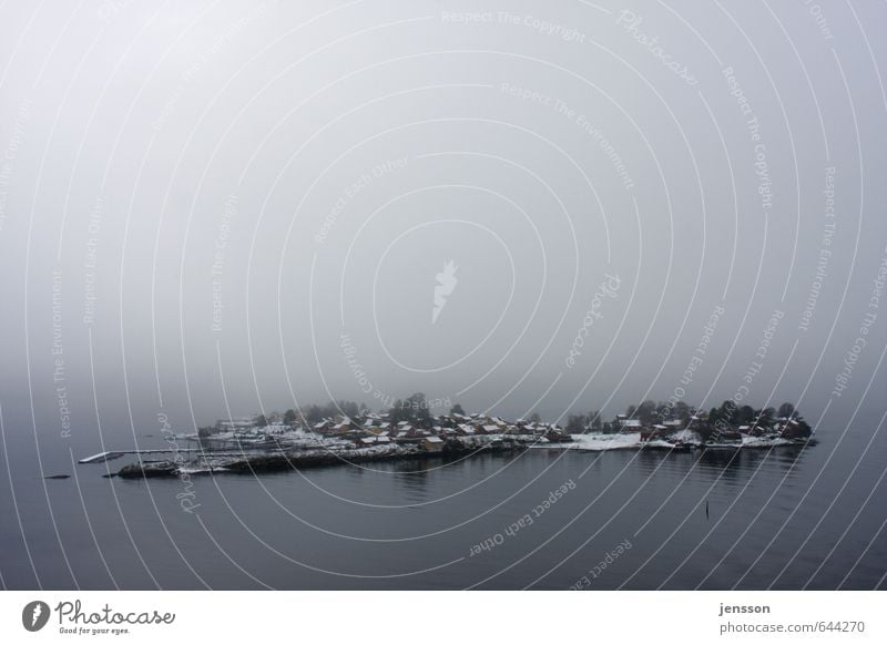 Øy Natur Landschaft Wasser Horizont Wetter Nebel Küste Fjord Ostsee Meer Insel Haus Häusliches Leben kalt Stimmung Norwegen Schnee Hafen Anlegestelle Winter